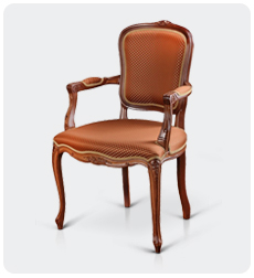 ���� � �������������� S717L